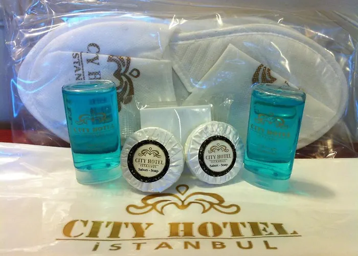City Hotel Hotel